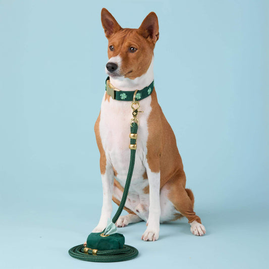 Clover Embroidered Collar Walk Set view 2