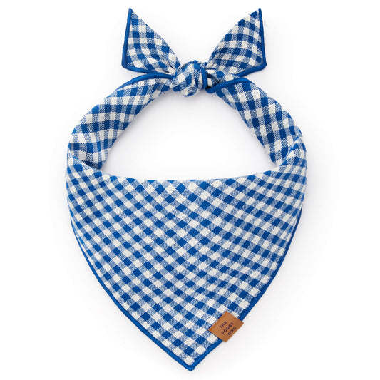 Lake Blue Gingham Dog Bandana view 1