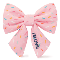 Sprinkles Lady Dog Bow from The Foggy Dog