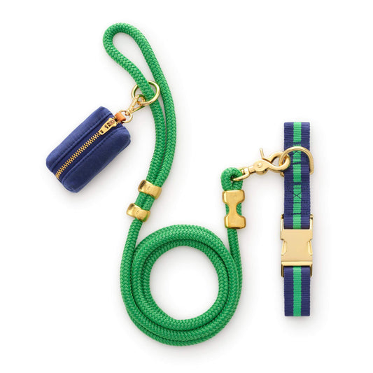 Camden Striped Webbing Collar Walk Set view 1