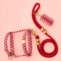 Red Gingham Harness Walk Set from The Foggy Dog