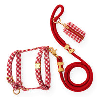 Red Gingham Harness Walk Set from The Foggy Dog
