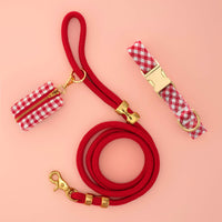 Red Gingham Collar Walk Set from The Foggy Dog