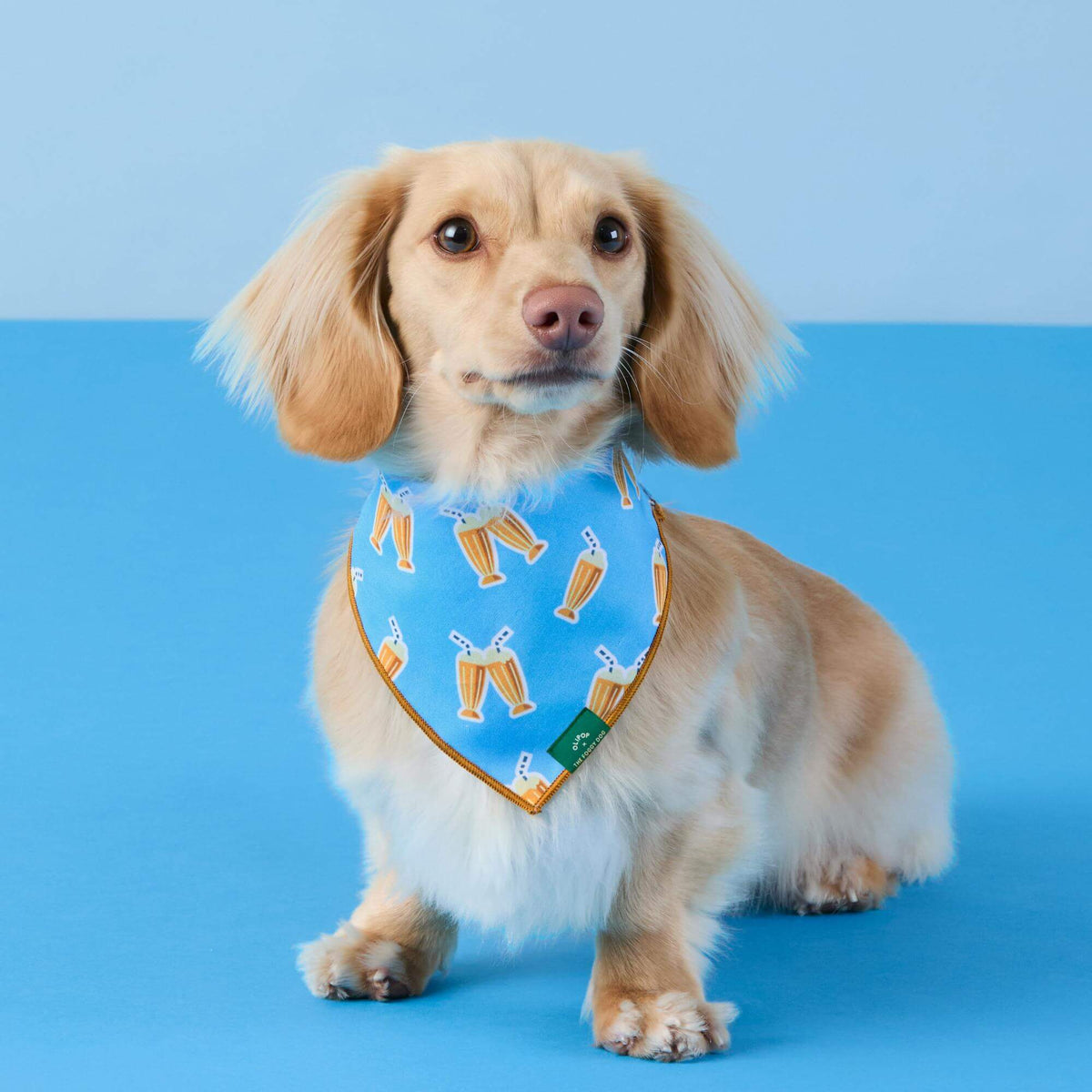 #Modeled by Finley (12lbs) in Small