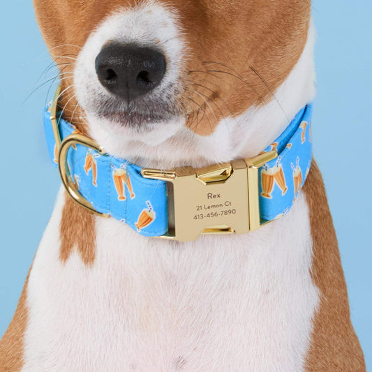 OLIPOP x TFD Cream Soda Dog Collar view 2
