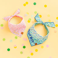 Sprinkles Dog Bandana from The Foggy Dog