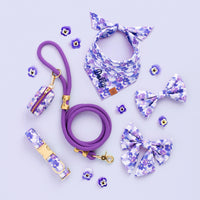 Pressed Pansies Collar Walk Set from The Foggy Dog