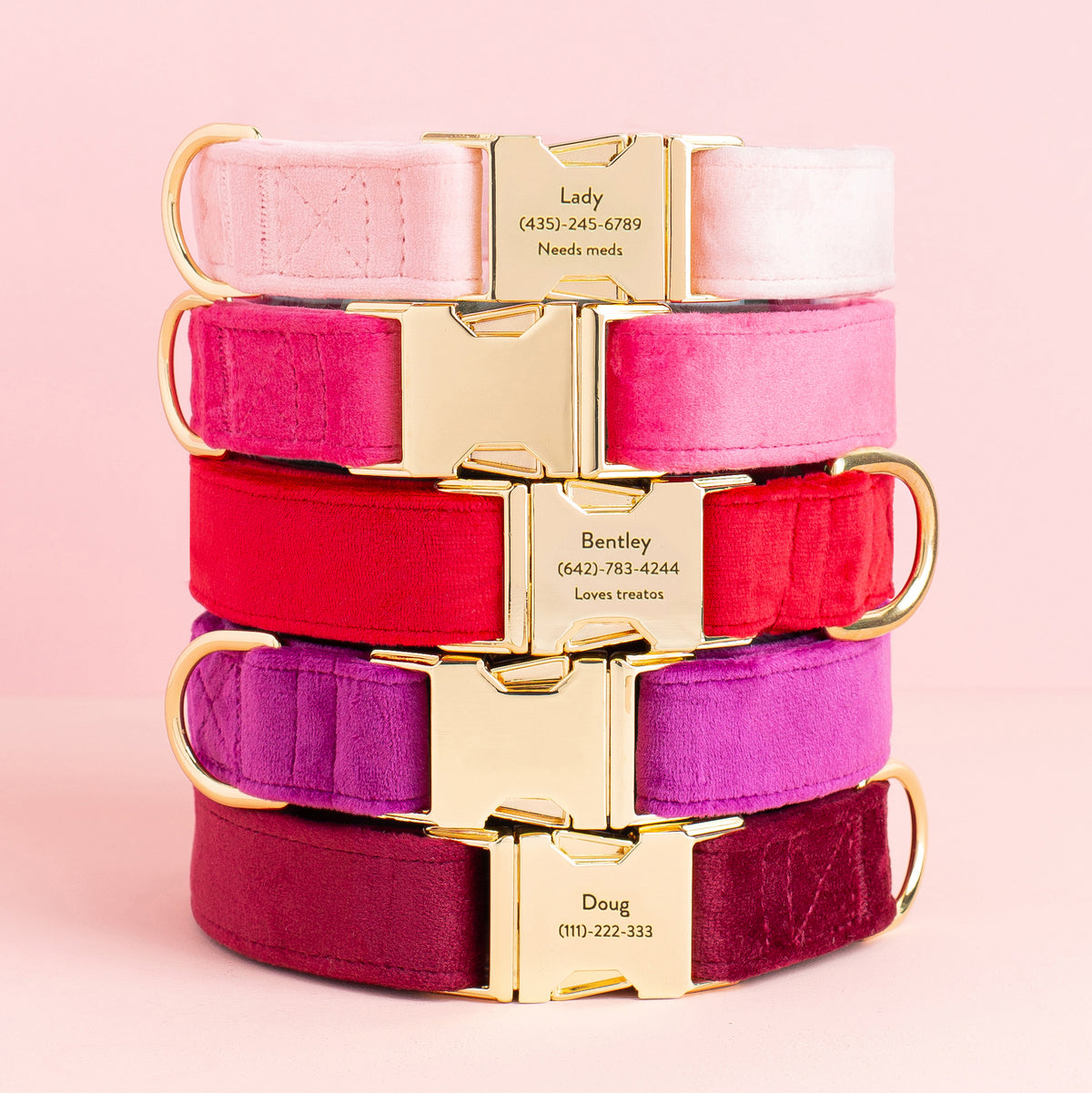 Hot Pink Velvet Dog Collar from The Foggy Dog