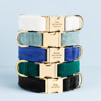 Ivory Velvet Dog Collar from The Foggy Dog 