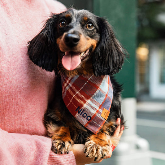 Maple Plaid Flannel Dog Bandana view 2