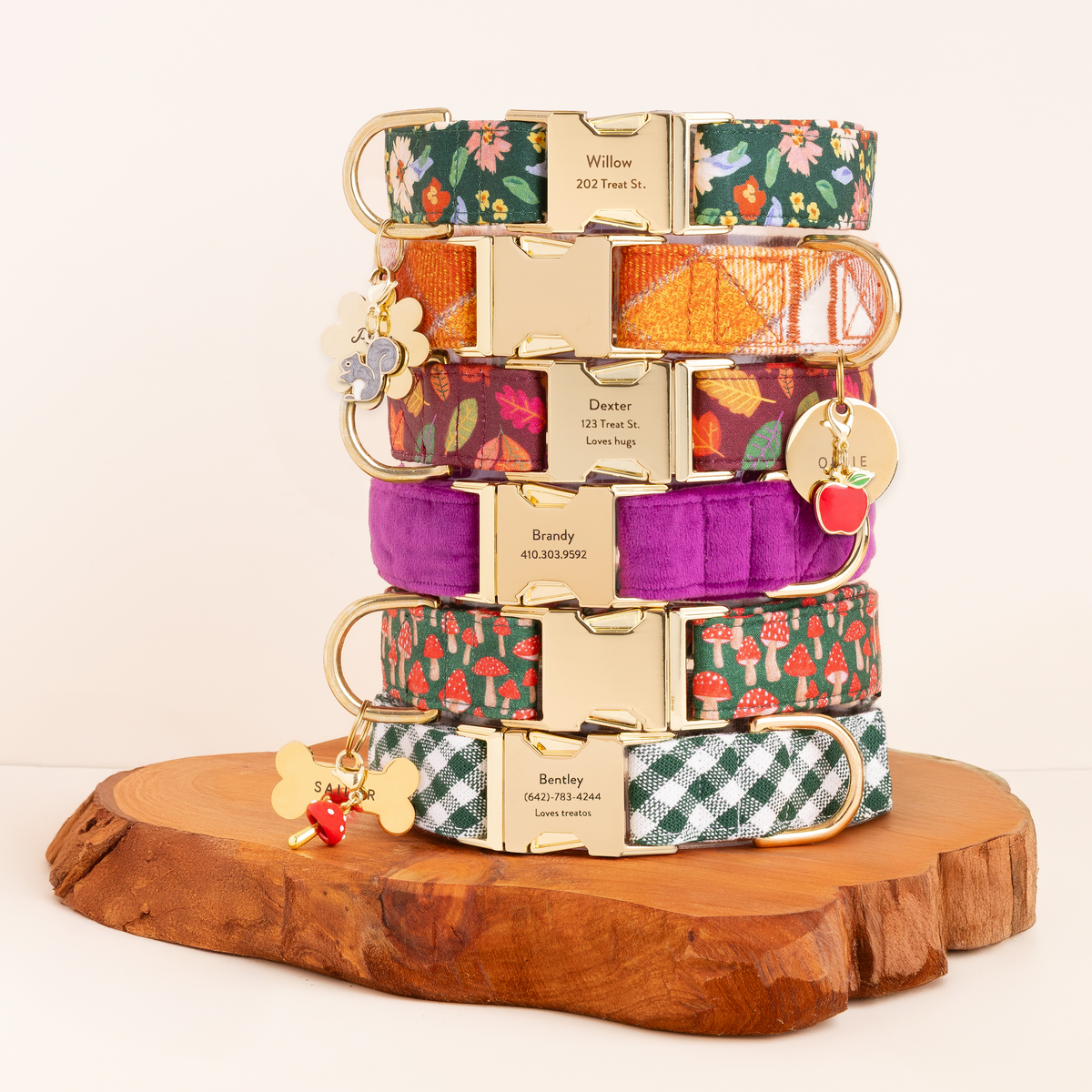 Secret Garden, Pumpkin Spice Plaid Flannel, Nuts About You, Plum Velvet, Mushroom Meadow, Evergreen Gingham Dog Collars, Apple, Squirrel, Toadstool Charm, and Pet ID Tags from The Foggy Dog