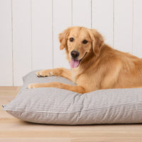 #Modeled by Holly (50lbs) on Large