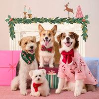 #Modeled by Molly (10lbs) in Small