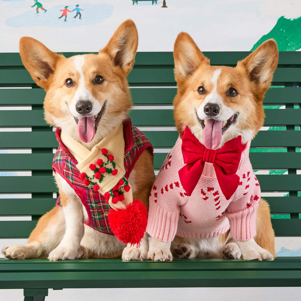 #Modeled by Captain (30lbs) in a Medium collar and Large lady bow