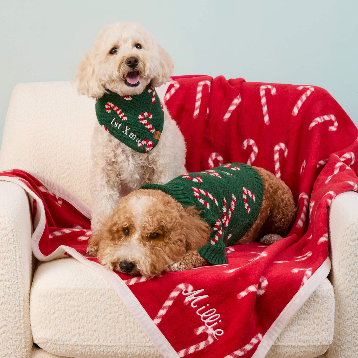 #Modeled by Mabel (18lbs) and Teddy (18lbs) on Midi