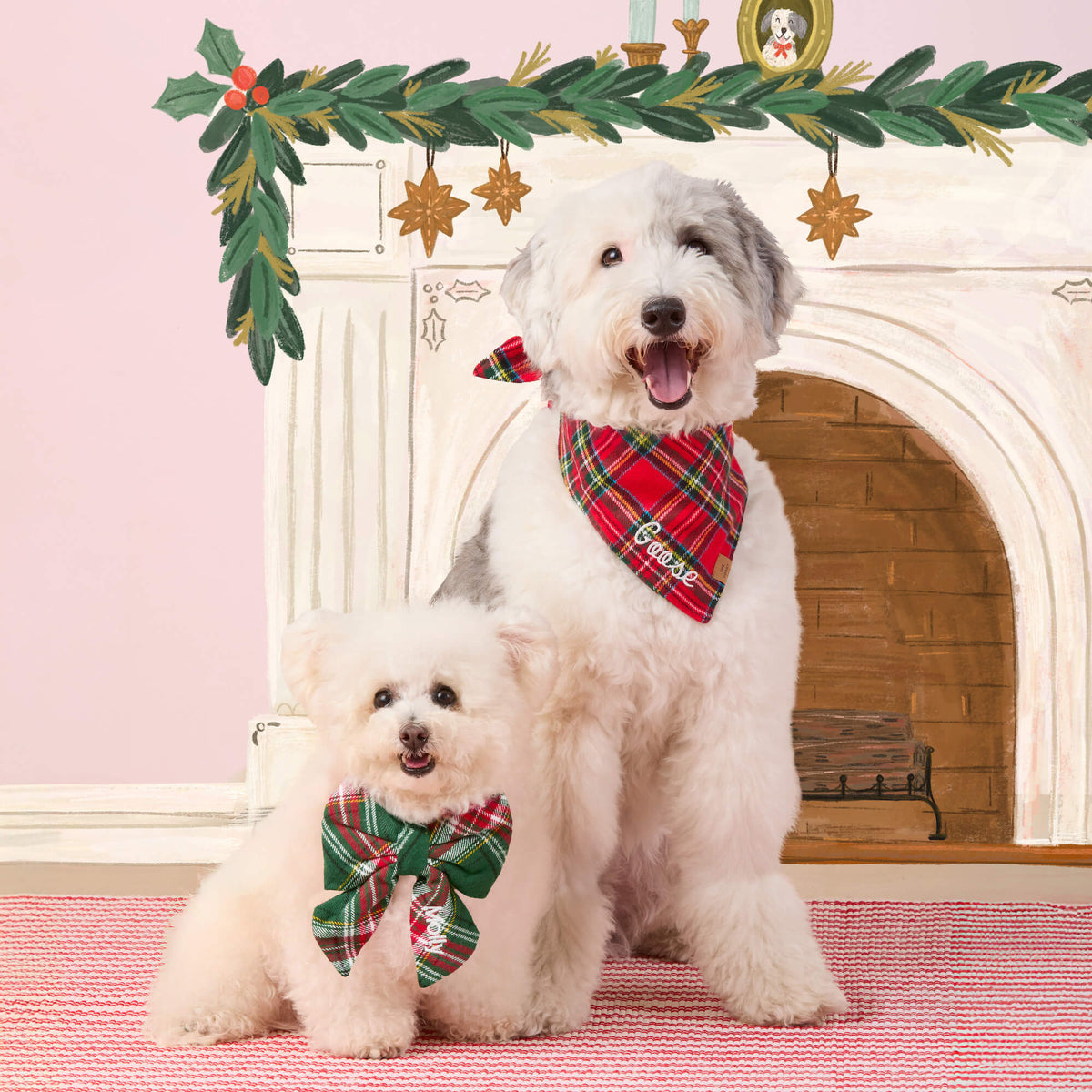 #Modeled by Molly (10lbs) in a Large lady bow