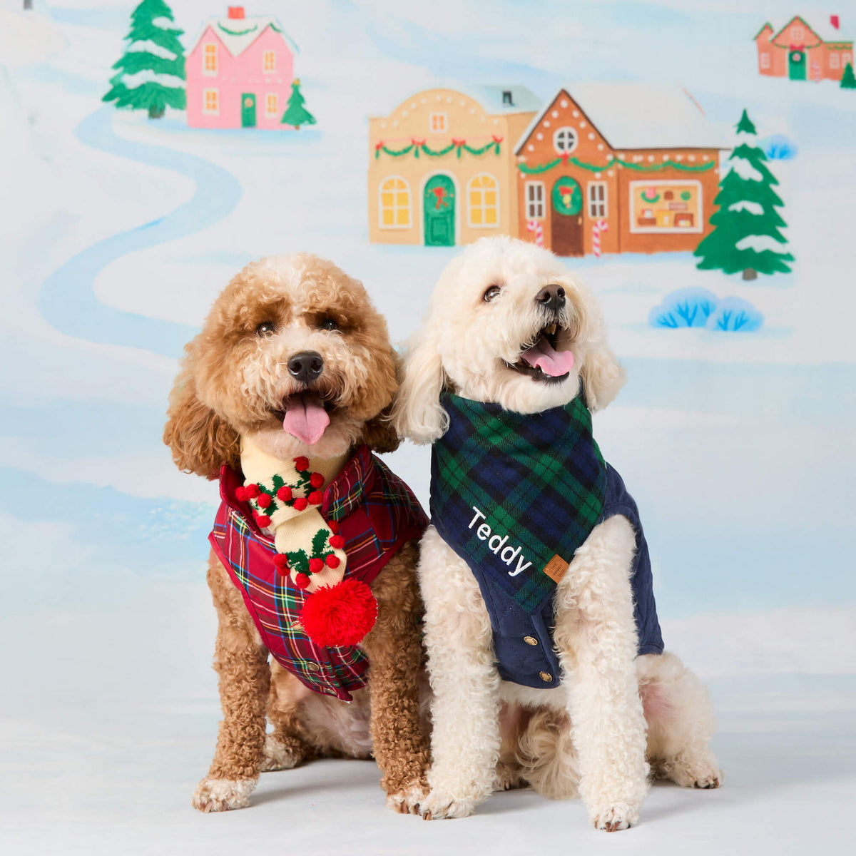 #Modeled by Teddy (18lbs) in Medium