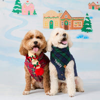 #Modeled by Teddy (18lbs) in Medium