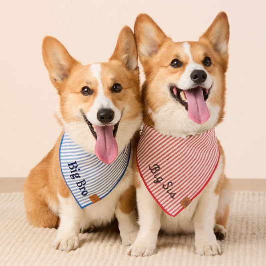 Lake Blue Stripe Dog Bandana view 2