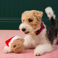Santa Teddy Bear 2-in-1 Bounce Dog Toy view 5