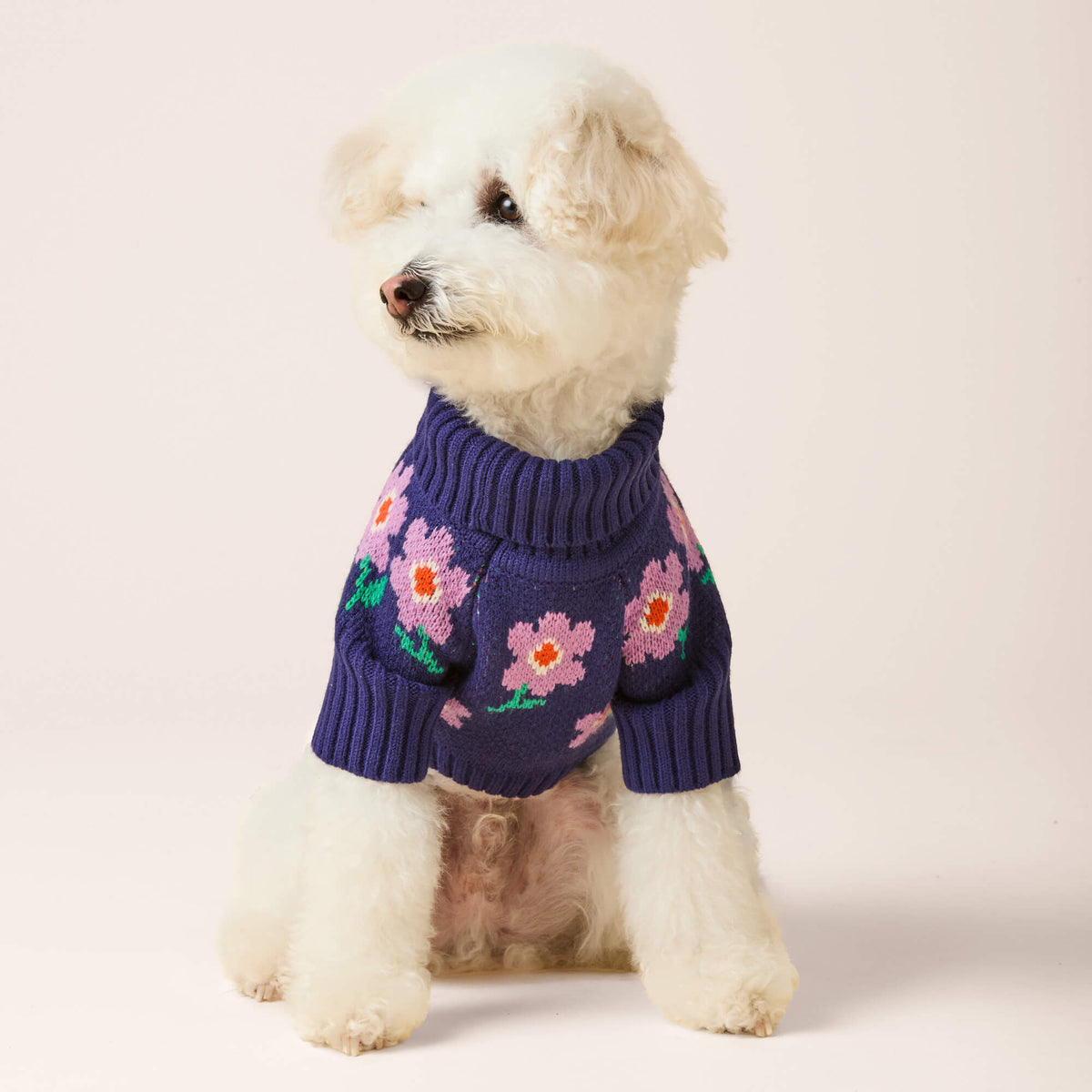 #Modeled by Mochi (14lbs) in Small