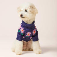 #Modeled by Mochi (14lbs) in Small