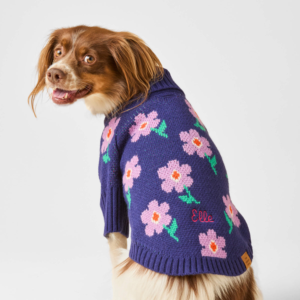 #Modeled by Ollie (23lbs) in Medium