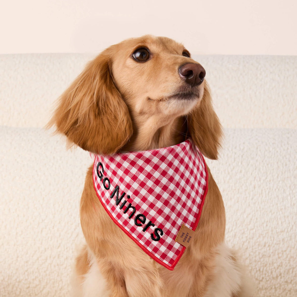 #Modeled by Charlie (12lbs) in Medium