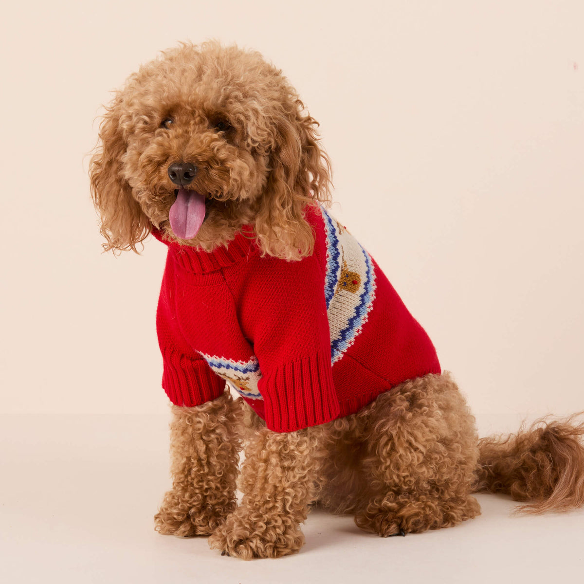 #Modeled by Utah (25lbs) in Medium