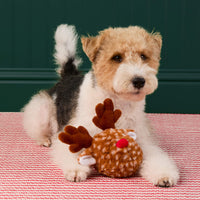 Reindeer 2-in-1 Bounce Dog Toy view 4
