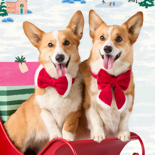 Santa Paws Bow Tie Collar view 2