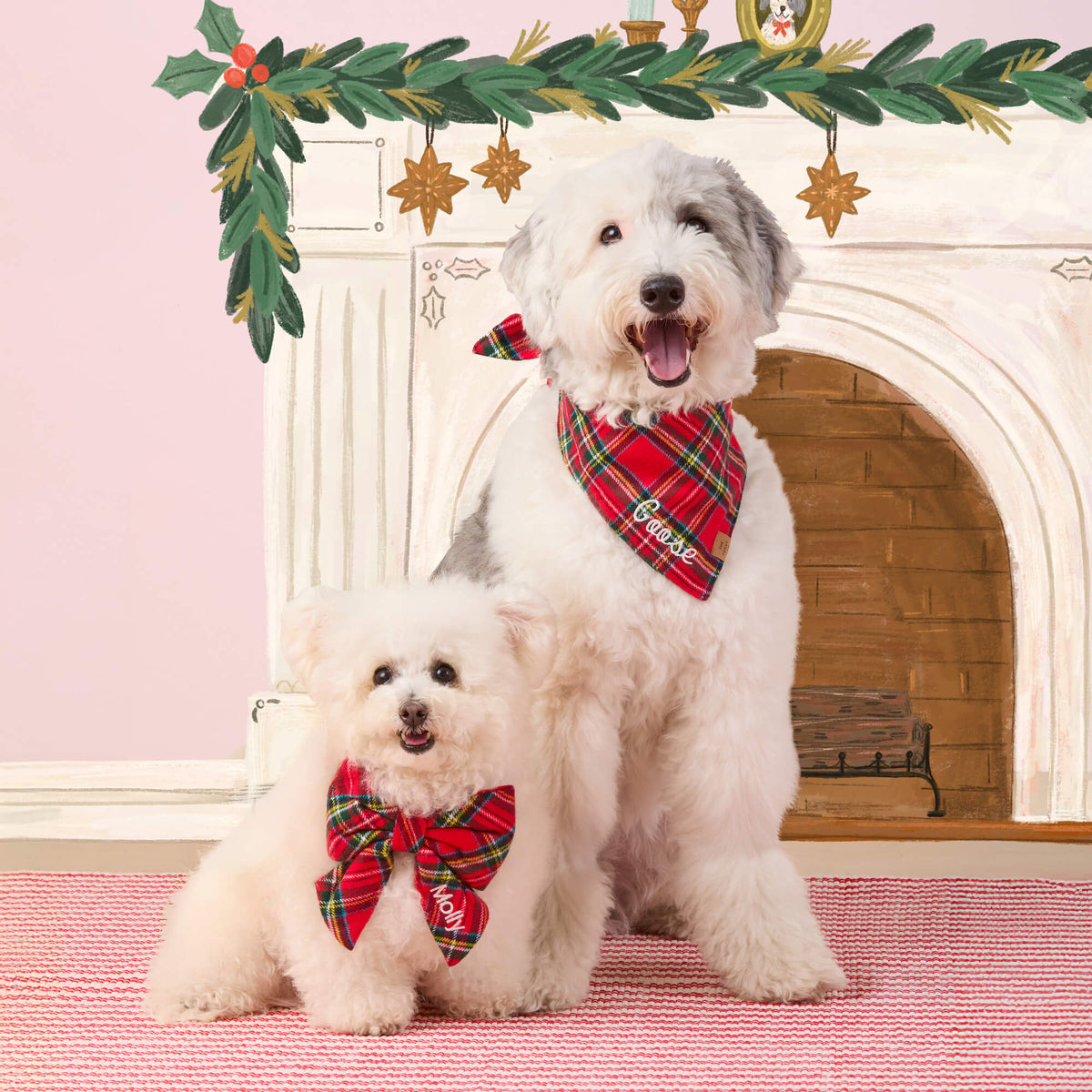#Modeled by Molly (10lbs) in a Large lady bow