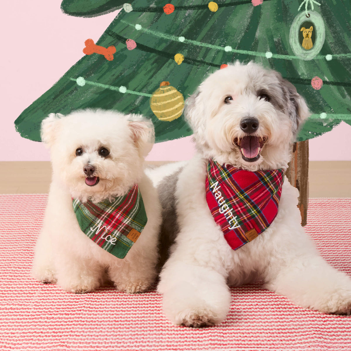 #Modeled by Molly (10lbs) in Small