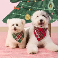 #Modeled by Molly (10lbs) in Small