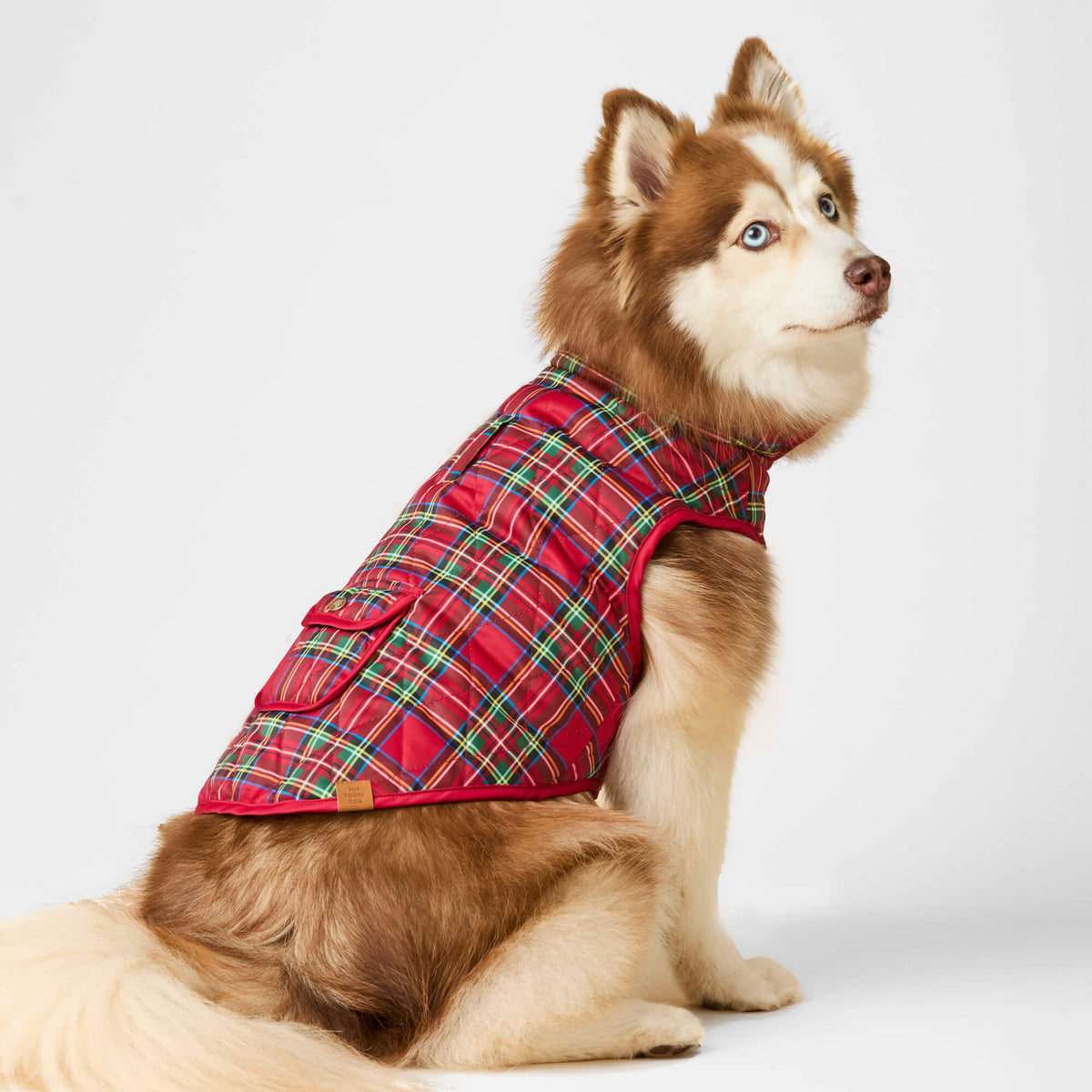 #Modeled by Rouka (36lbs) in Medium