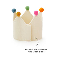 Ivory Dog Birthday Crown from The Foggy Dog