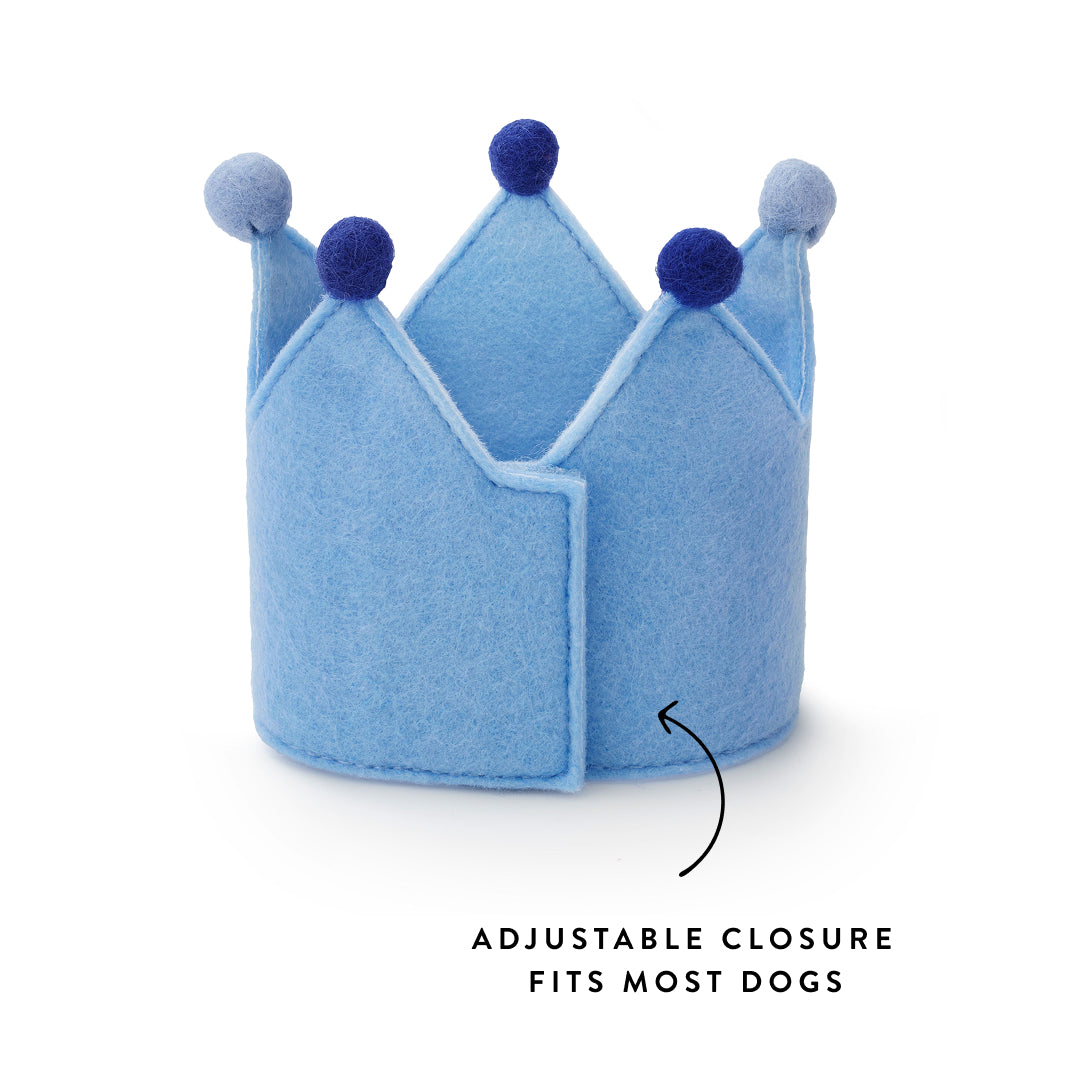 Light Blue Dog Birthday Crown from The Foggy Dog