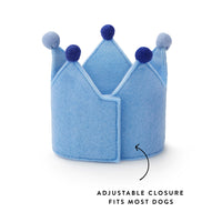 Light Blue Dog Birthday Crown from The Foggy Dog