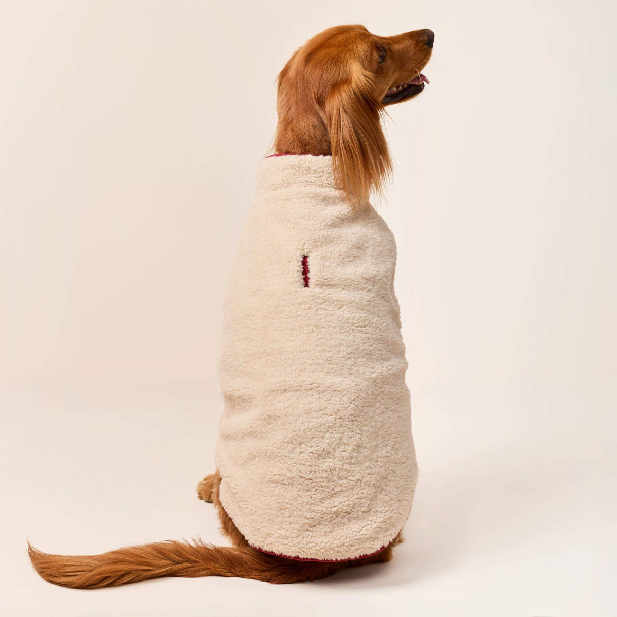 #Modeled by Maple (45lbs) in X-Large