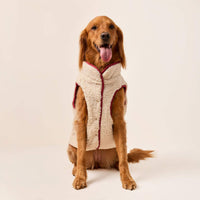 #Modeled by Maple (45lbs) in X-Large