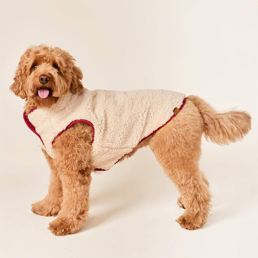 Currant Sherpa-Lined Reversible Dog Jacket view 2