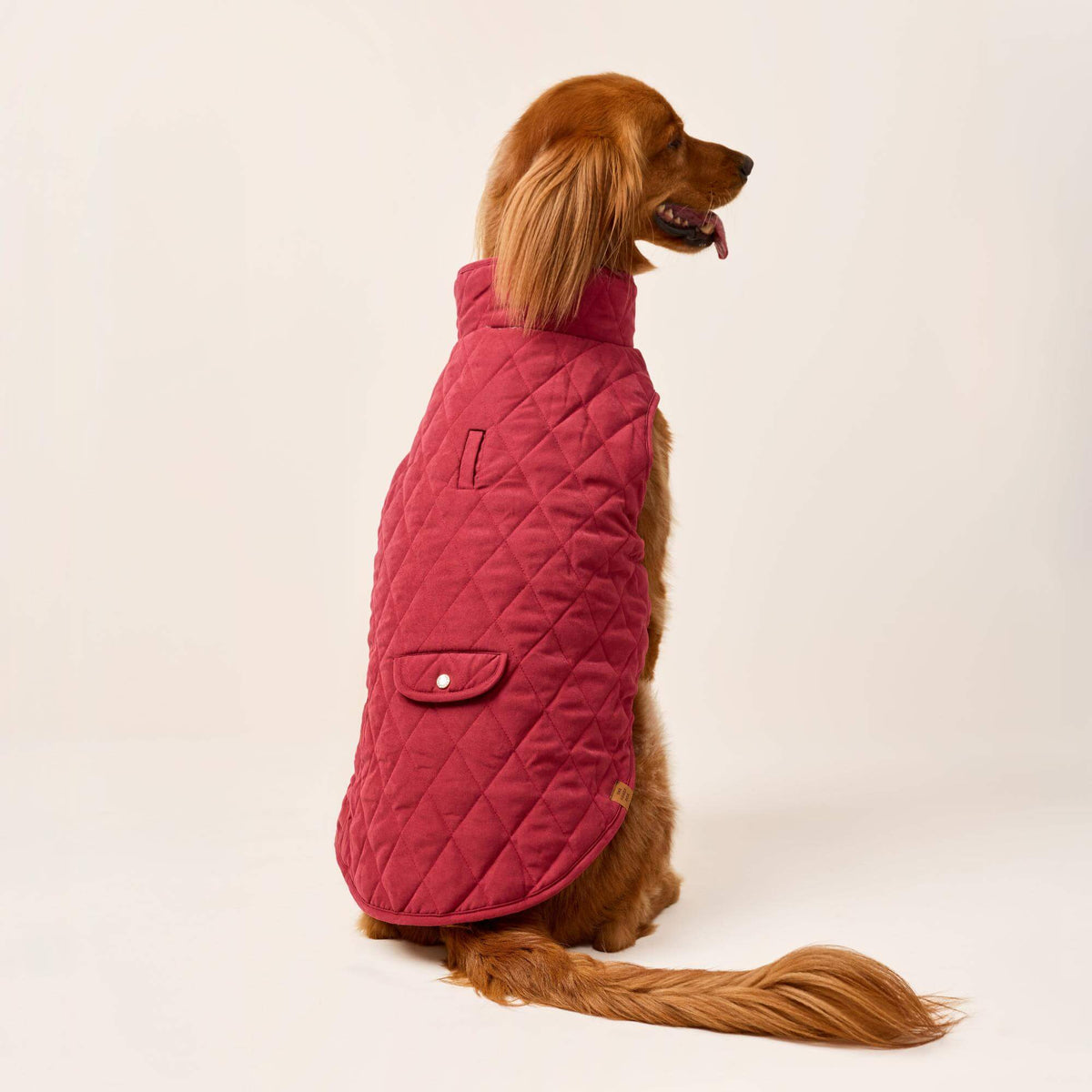 #Modeled by Maple (45lbs) in X-Large