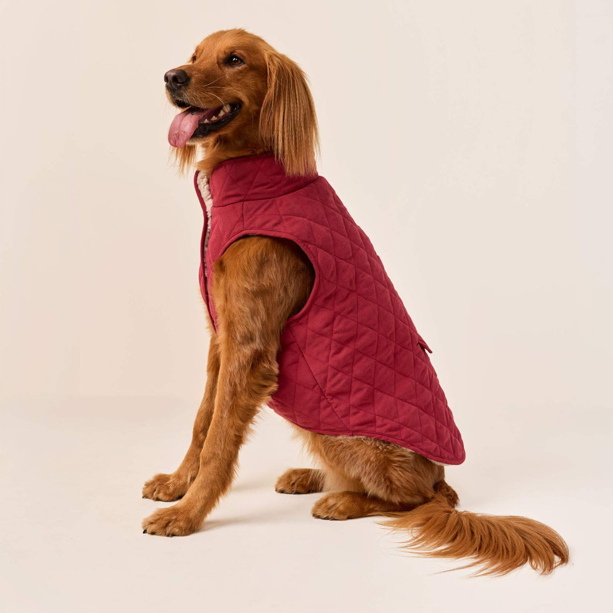 #Modeled by Maple (45lbs) in X-Large