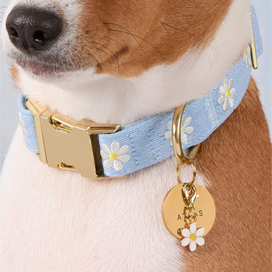 Daisy Embroidered Dog Collar view 2