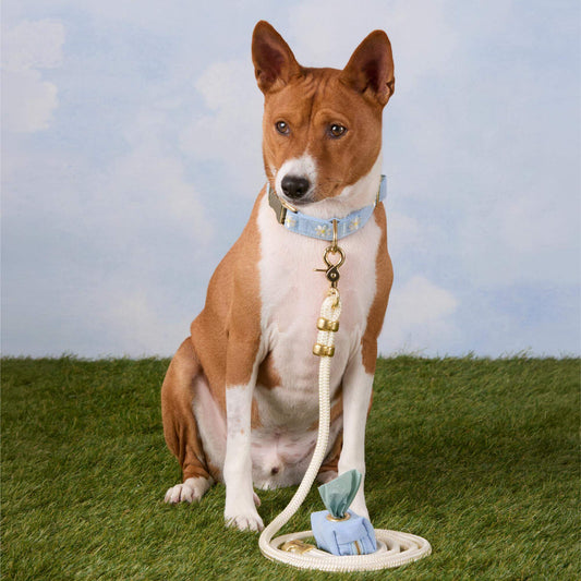 Daisy Embroidered Collar Walk Set view 2