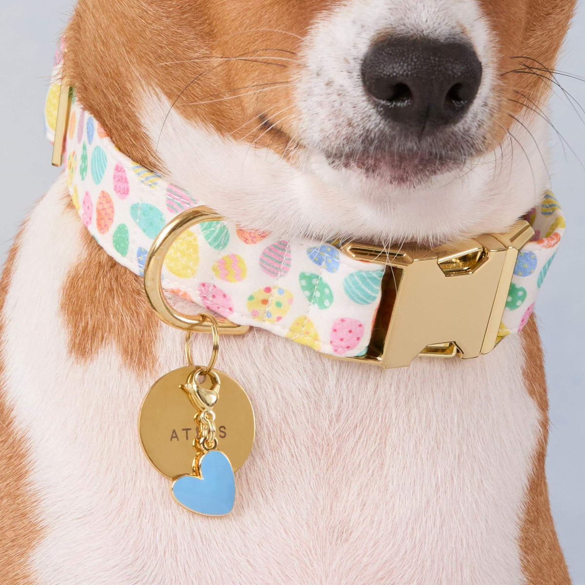 Blue Heart Collar Charm from The Foggy Dog