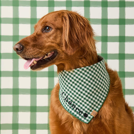 Evergreen Gingham Dog Bandana view 2