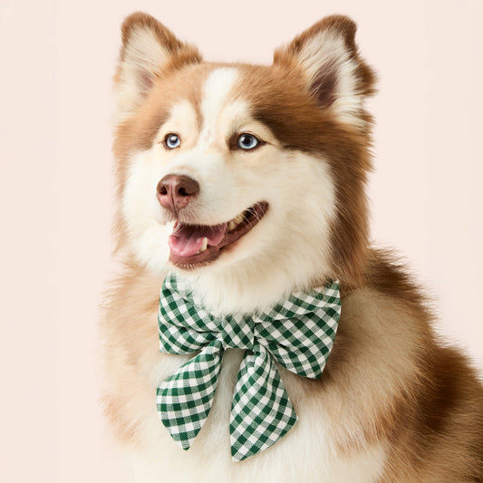 Evergreen Gingham Lady Dog Bow view 2
