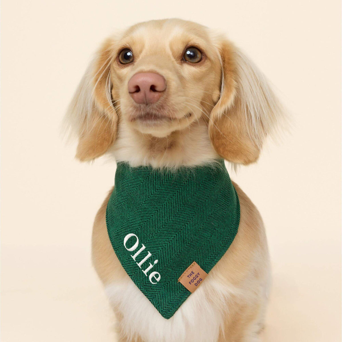 #Modeled by Finley (12lbs) in Small