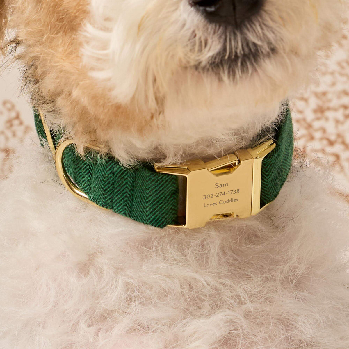 #Modeled by Sesame (27lbs) in Medium